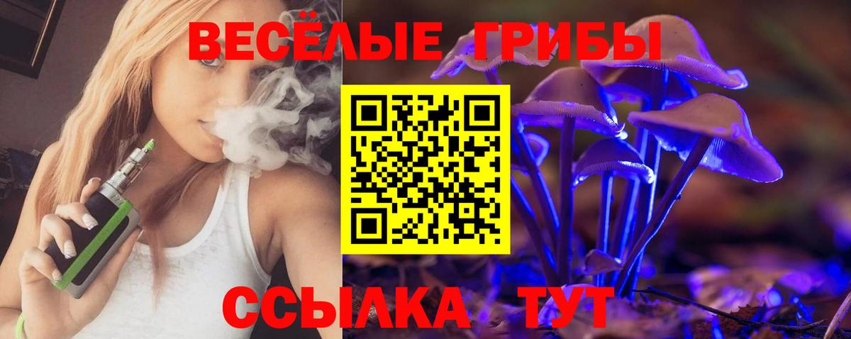 Псилоцибиновые грибы прущие грибы Ржев
