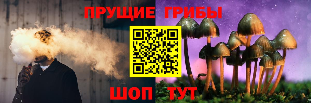 Ржев  Галлюциногенные грибы Psilocybe  Вход с VPN 